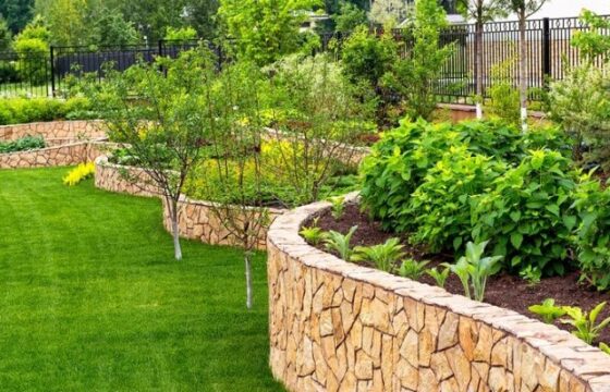 Villa Landscape Design in Dubai – A Thorough Guide 2024